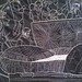 Darrel Morris Photo 28