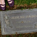 Arlene Andersen Photo 7