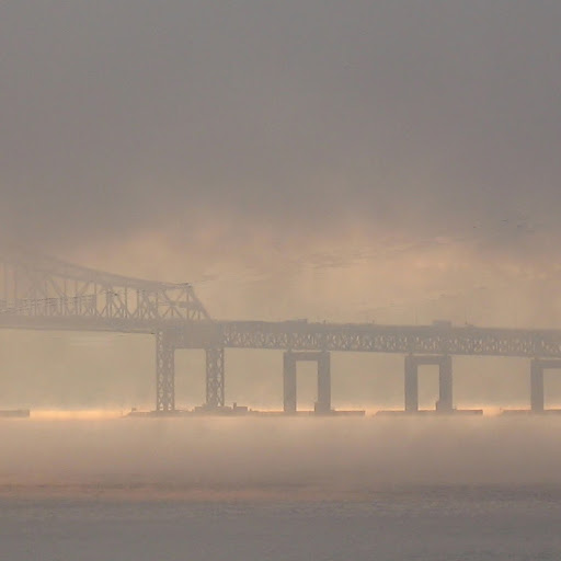 Lisa Buckley Photo 27