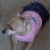 Debra Bowling Photo 5