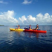 Jeannette Wolff Photo 5