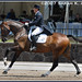 Christopher Hickey Photo 35