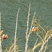 April Boysen Photo 7