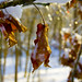 Beth Dinsmore Photo 10