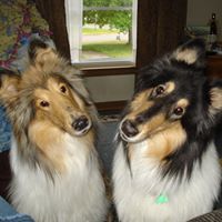 Tracey Miller Photo 18