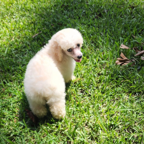 Michelle Ervin Photo 13