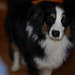 Bryant Bruce Photo 17