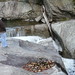 Jeremy Warren Photo 19