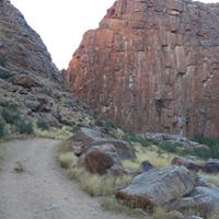 Susan Kruger Photo 21