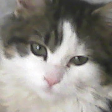 Jennifer Matias Photo 15