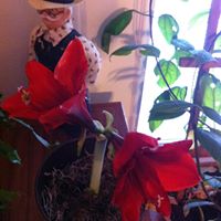 Nancy Cameron Photo 13