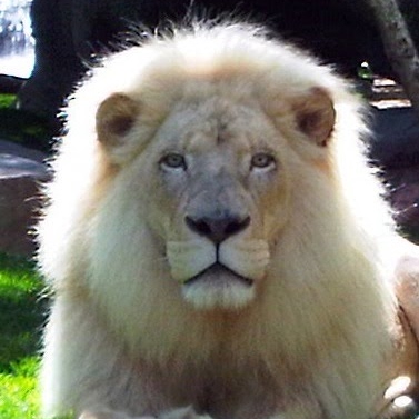 John Molnar Photo 27