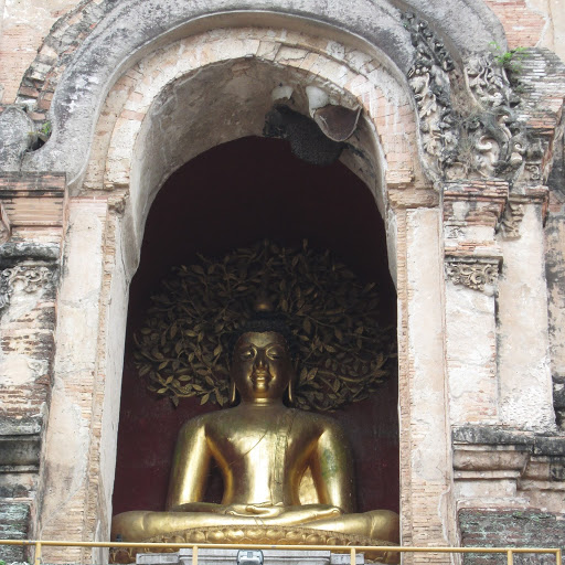 Sharon Belcher Photo 25