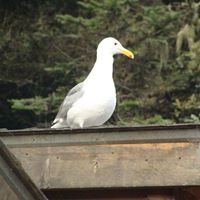 Caitlin Stack Photo 3