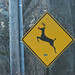 Elizabeth Rudolph Photo 14
