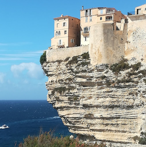 Martin Marion Photo 16