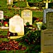 Annette Graves Photo 15