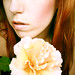 Rose Self Photo 16