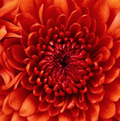 Tamara Wheeler Photo 13