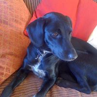 Stephen Atkins Photo 28