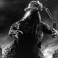 Gayle Morris Photo 17