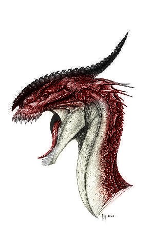 Timothy Spears Photo 14