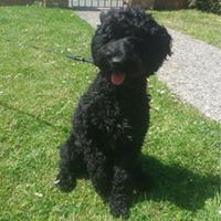 Ruthie Curtis Photo 18