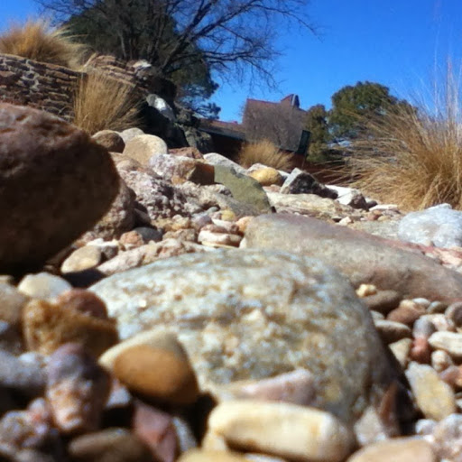 Joan Brown Photo 30 Joan Brown Photo 30