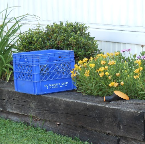 Mary Mcmahon Photo 32