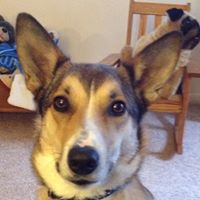 Jeremy Call Photo 13