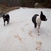 Kelly Farley Photo 44