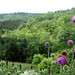 Virginia Wilder Photo 16