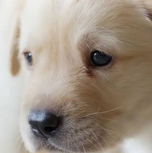 Renee Massey Photo 6