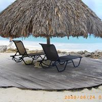 Maureen Morrissey Photo 27