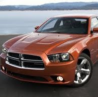 Cynthia Darling Photo 35