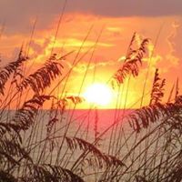 Julie Dietz Photo 11