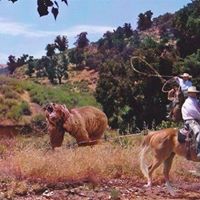 Jack Baxter Photo 10