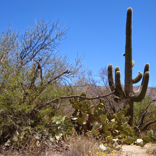 Francine Bush Photo 2