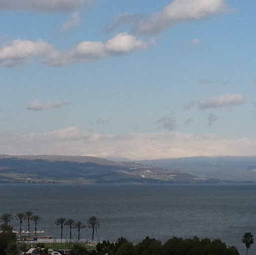 Scott Kessler Photo 54