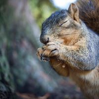 Sharon Shinn Photo 31 Sharon Shinn Photo 31