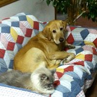 Kathy Hillman Photo 18