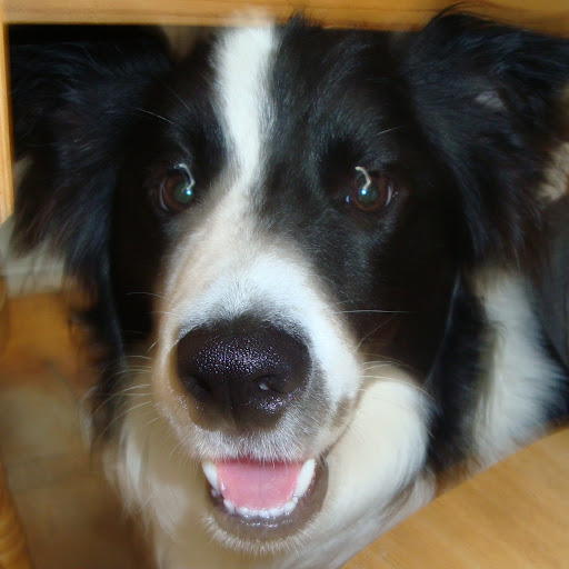 Michelle Sykes Photo 15