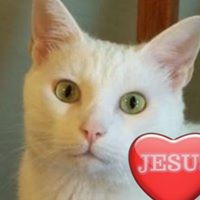 Cheryl Engle Photo 17