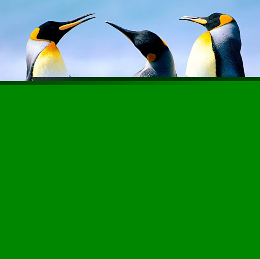 Eugene Harley Photo 8