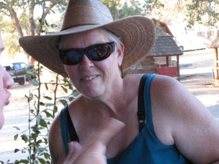 Sandra Cook Photo 7