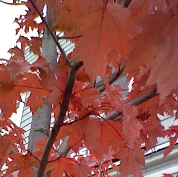 Natalie Nicholson Photo 36