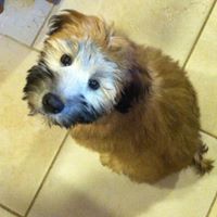 Kristin Foley Photo 15