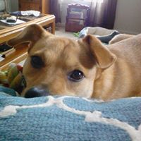 Ann Squires Photo 27
