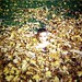 Jay Simonson Photo 10