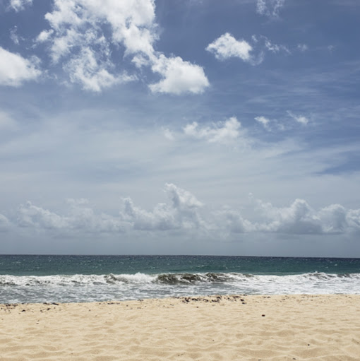 Diana Rodriguez Photo 29